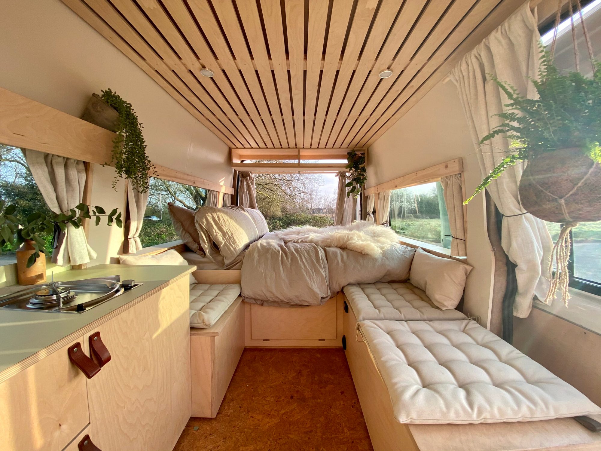Bright interior of a custom campervan with wooden ceiling slats, cream bedding, kitchenette, and hanging plants by windows