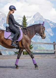 GS Equestrian has become a trusted name in the UK equestrian community, known for its dedication to performance, style, and care. The brand has built its reputation by delivering top-quality horsewear, rider apparel, and accessories that meet the needs of everyday riders and professionals alike. Whether on the competition circuit or enjoying a countryside hack, GS Equestrian ensures that both horse and rider perform and look their best. With a focus on innovation, comfort, and affordability, GS Equestrian’s collections are thoughtfully designed to withstand the demands of equestrian life while maintaining timeless British elegance.
