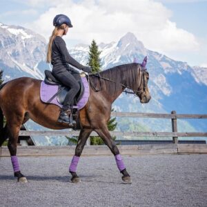 GS Equestrian has become a trusted name in the UK equestrian community, known for its dedication to performance, style, and care. The brand has built its reputation by delivering top-quality horsewear, rider apparel, and accessories that meet the needs of everyday riders and professionals alike. Whether on the competition circuit or enjoying a countryside hack, GS Equestrian ensures that both horse and rider perform and look their best. With a focus on innovation, comfort, and affordability, GS Equestrian’s collections are thoughtfully designed to withstand the demands of equestrian life while maintaining timeless British elegance.