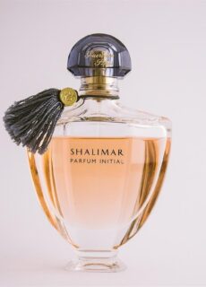 In einer Zeit, in der Schönheit und Selbstpflege fester Bestandteil des Alltags geworden sind, sticht Beautywelt als führende deutsche Adresse hervor, die Luxus, Zugänglichkeit und Innovation zu einem eleganten Einkaufserlebnis vereint. Von Premium-Düften bis hin zu hochwirksamer Haut- und Haarpflege – Beautywelt bietet eine Welt, in der Genuss auf Praktikabilität trifft. Mit einer makellosen Auswahl internationaler Beauty-Ikonen und exklusiver Kollektionen definiert die Marke das Online-Shopping für Eleganz immer wieder neu.